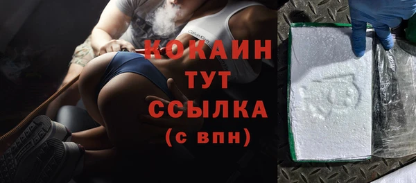 индика Аркадак