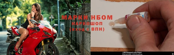индика Аркадак