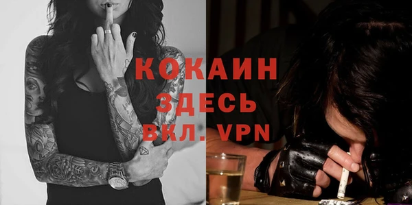 индика Аркадак