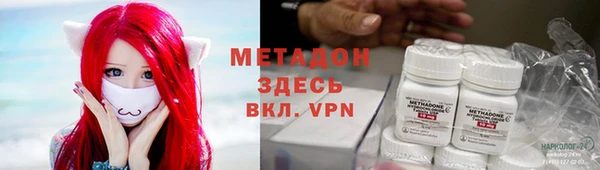 индика Аркадак