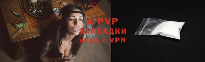 хмурый Пересвет