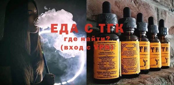 индика Аркадак