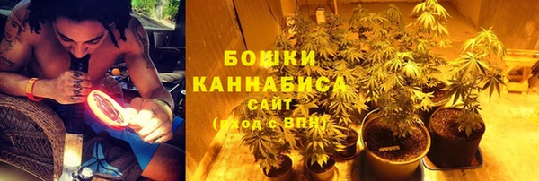гидра Армянск