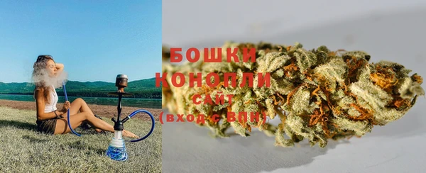индика Аркадак