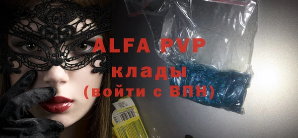 индика Аркадак