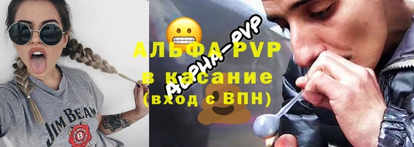 индика Аркадак