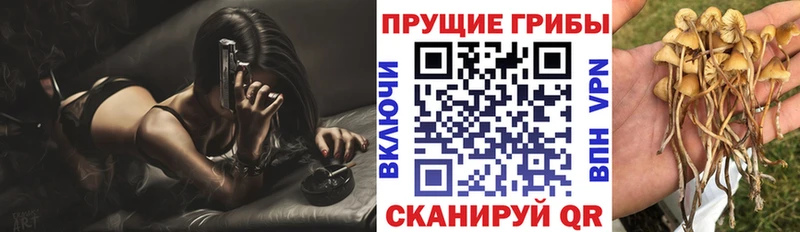 Галлюциногенные грибы мухоморы  Сенгилей 